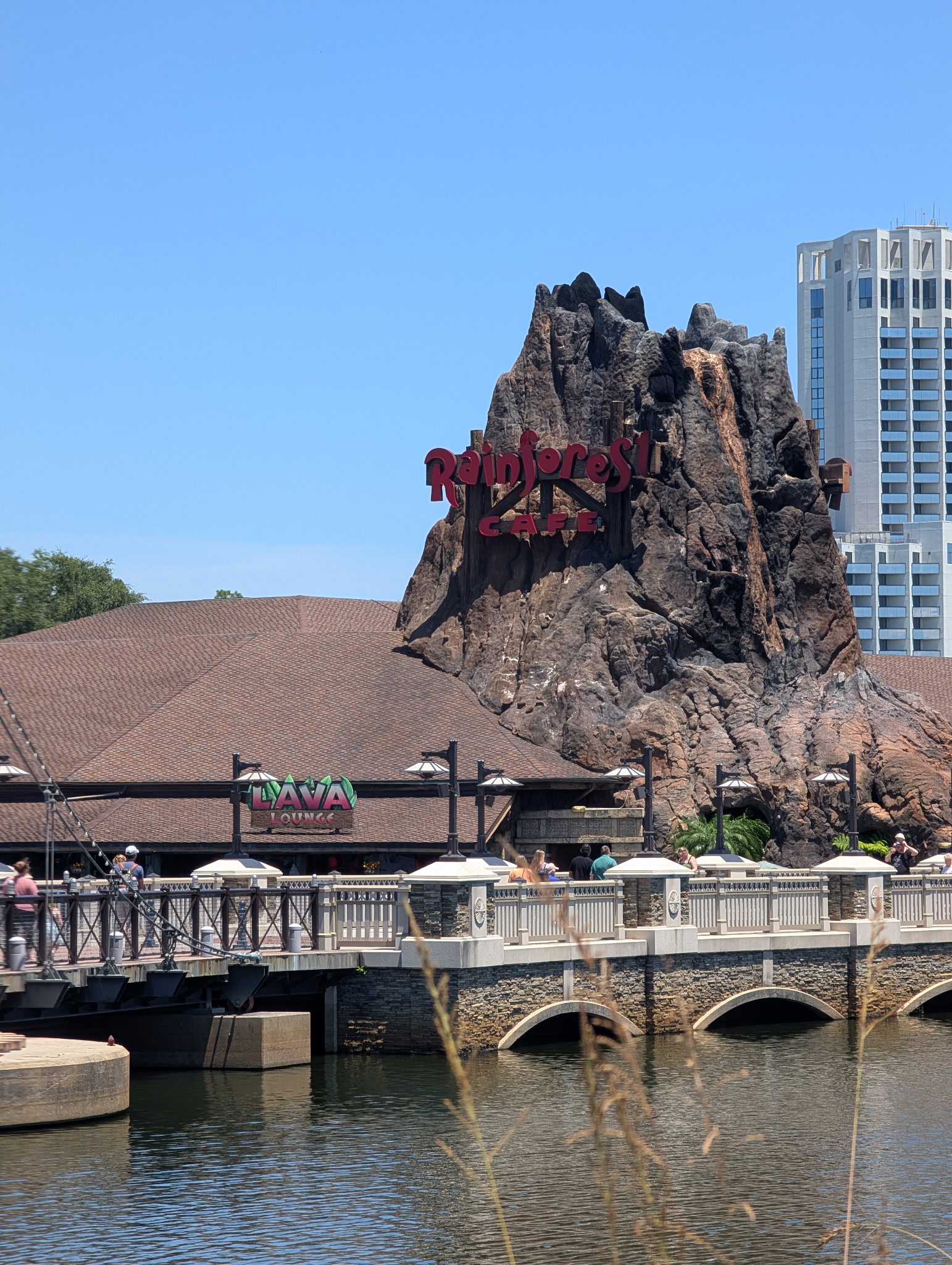 Lava Lounge at Rainforest Café®