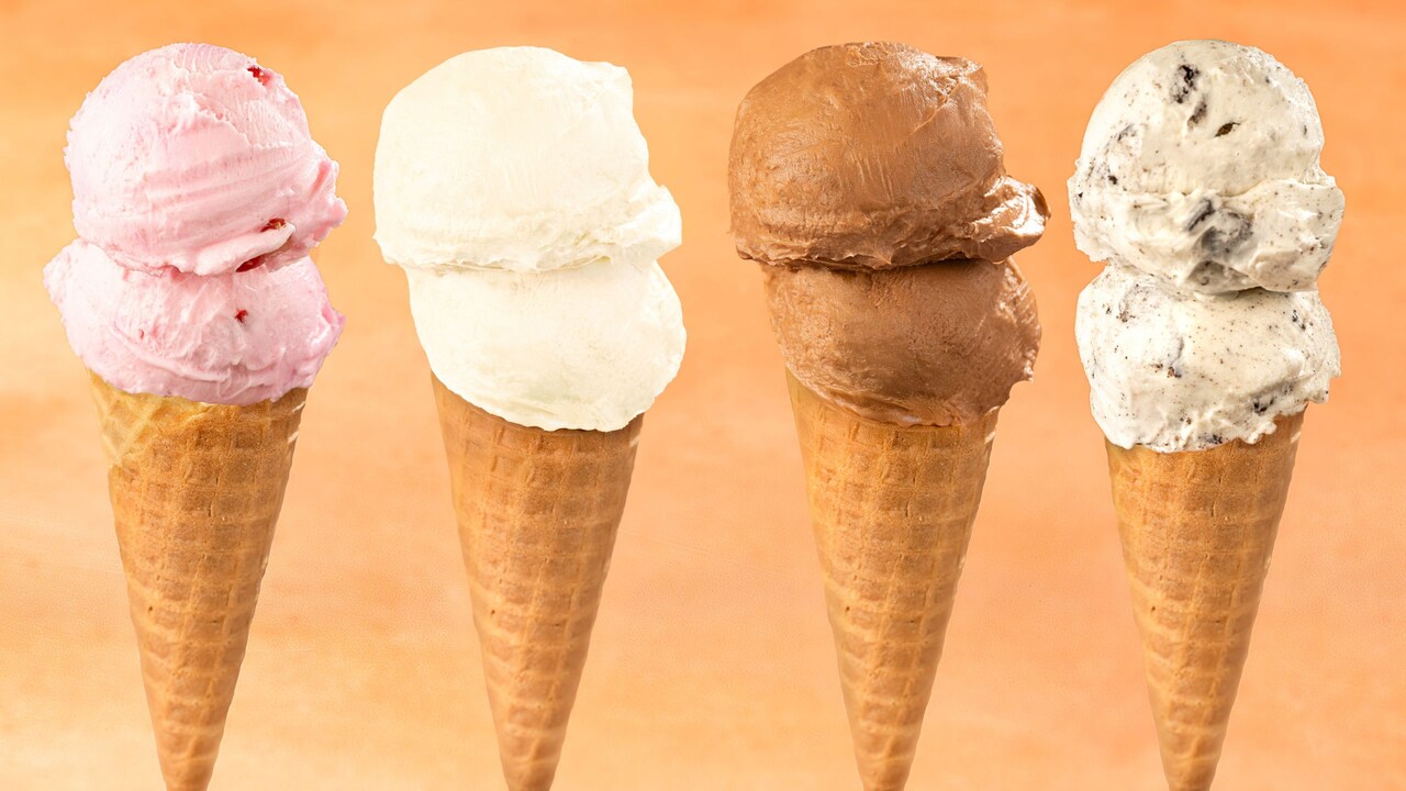 Terra Treats