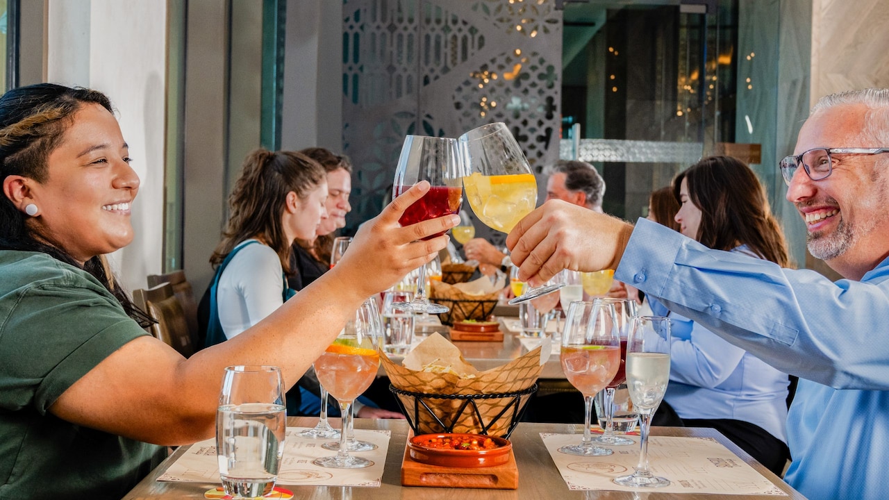 Sangria University