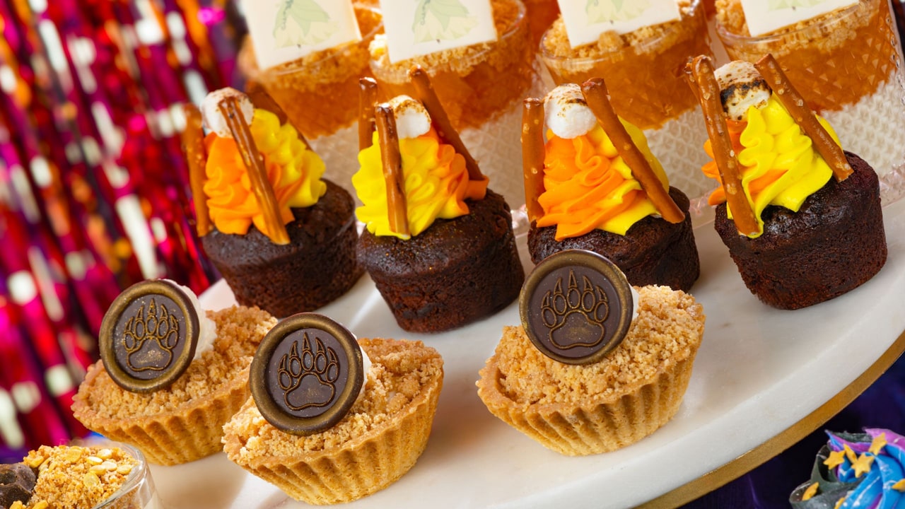 Magic Kingdom Fireworks Dessert Parties: Pre-Party